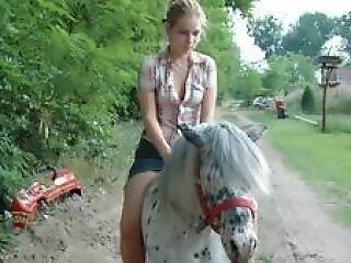 Free bestiality and zoophilia porn