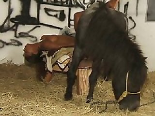 Zoophilia porn and animal sex