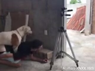 Gay man ass fucks by the dog in a raw amateur video