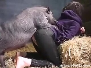 Sexy ass fucks with a pig in truly amazing scenes