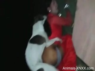 Medium dog licks woman and fucks her pussy on cam