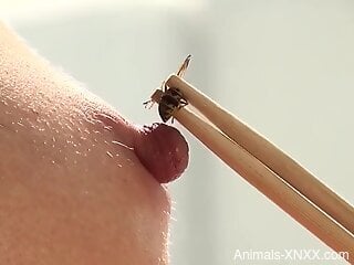 Sexy MILF puts a bee on her hard nipples when masturbating