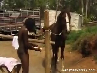 Nude ebony tries huge horse cock in her tiny cunt