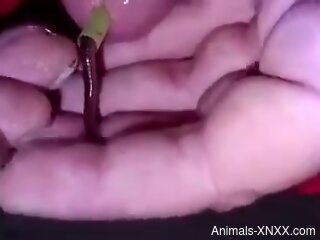 Man masturbates while putting worms into his penis
