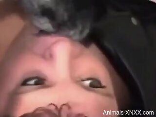 Dog licks woman's pussy and tits before fucking her