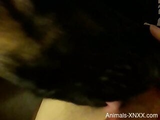 Hot scenes of male masturbation with the dog licking his balls