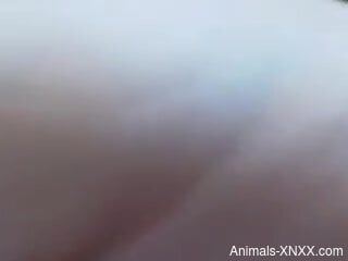 Sexy ass amateur woman fucked by the dog on live cam