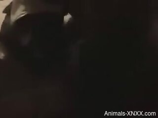 Amateur woman licked and fucked by a dog in home video