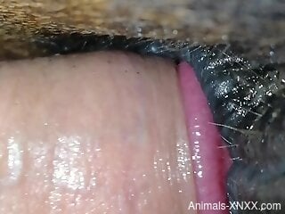 Deep animal sex moments for a horny man with big cock