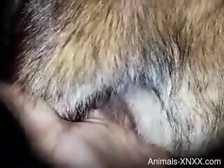Horny guy feels like deep penetrating his furry friend