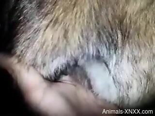 Horny guy feels like deep penetrating his furry friend
