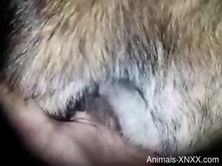 Horny guy feels like deep penetrating his furry friend