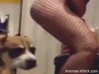 Sexy dog happily licking a woman's hot pussy on cam