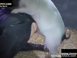 Pig rams curvy woman in the pussy and soaks her in sperm