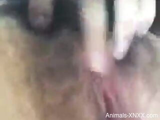 Horny animal licking a hairy pussy in a close-up video