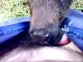 Dude throat-fucking a submissive animal outdoors