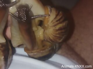 Disgusting POV video with a dude that happily fucks snails