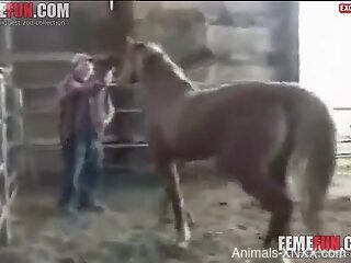 Sexy brown horse pounding a guy's asshole from behind
