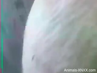 Close-up gape video with lots of hardcore fucking