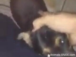 Dude face-fucking his adorable animal in a POV vid