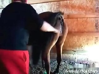 Dude happily fisting a mare's pussy in a hardcore vid
