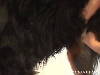 Crazy handjob video with a seductive zoophile