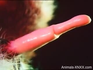 Close-up porno video featuring a very pretty boner