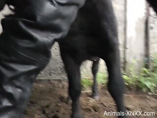 Leather-wearing zoophile bitch gets pumped full of cum