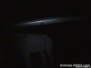 Nighttime fuck scene with a really hot zoophile