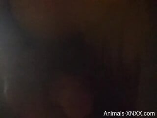 Horny guy getting screwed by his favorite pet