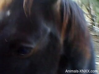 Hot horse cock getting stroked happily in POV