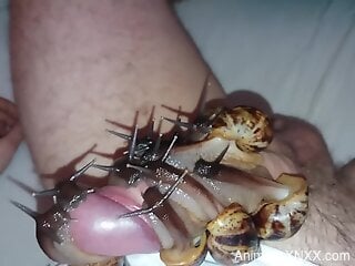 Dude's dick is covered in sexy snails that help him cum