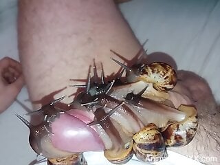 Dude's dick is covered in sexy snails that help him cum