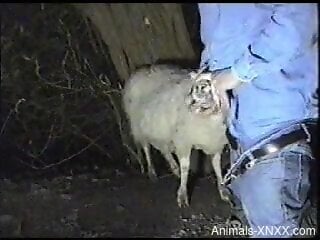 Denim-clad fucker dominating a sheep's throat