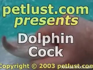 Dolphin dick receives a great handjob on camera