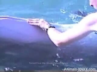 Splendid dolphin lover getting freaky with the creature