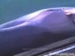 Splendid dolphin lover getting freaky with the creature