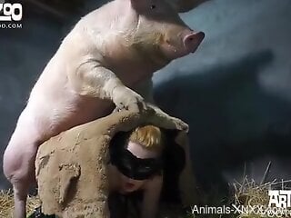 Sexy female tries pig cock down the muff in rough perversions