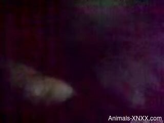 Incredible close-up shooting of zoo sex session