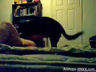 Fat zoophilia loving whore is being fucked by a dog