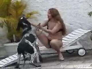 Two sluts enjoy oral and anal zoo sex session