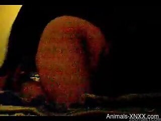 Homemade zoophilia porn sexual session with a dog