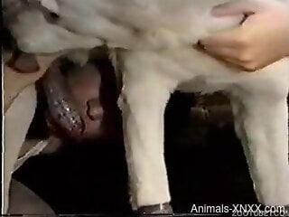 Hardcore zoophilia XXX homemade video clip