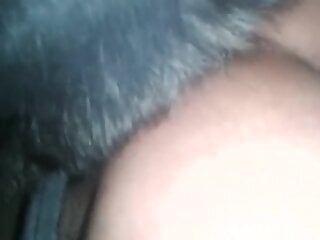 Hardcore zoo anal sex banging on a real homemade