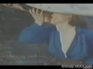 Vintage zoo porn clip with horse fucking