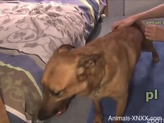 Needy young bloke wants to share sexual time with his dog