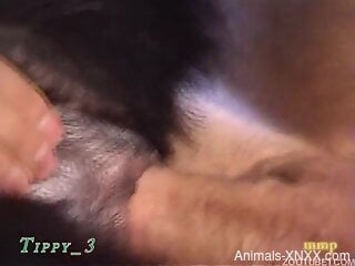 Nude man inserts cock in dog's extra tiny pussy