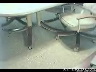 Busty woman with nice assets tries dog porn on cam