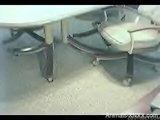 Busty woman with nice assets tries dog porn on cam