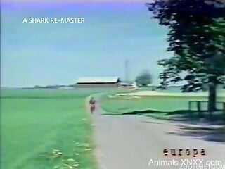 Nude amateur women in vintage zoophilia porn collection